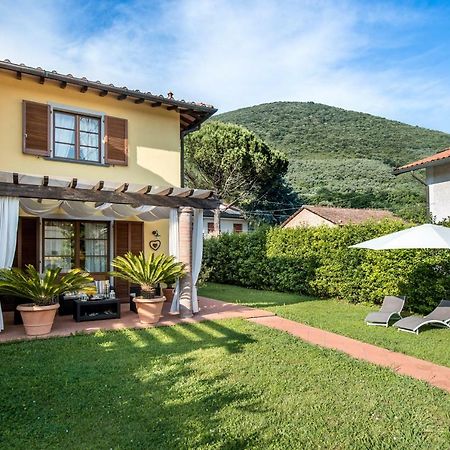 B&B La Rondine Tra Pisa E Lucca San Giuliano Terme Exteriér fotografie