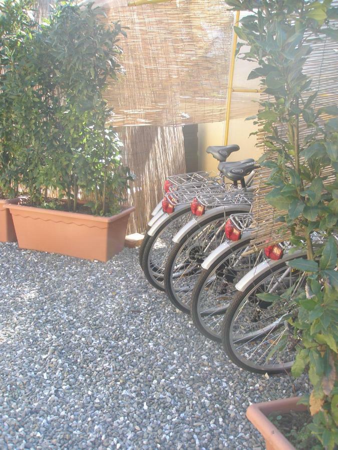 B&B La Rondine Tra Pisa E Lucca San Giuliano Terme Exteriér fotografie