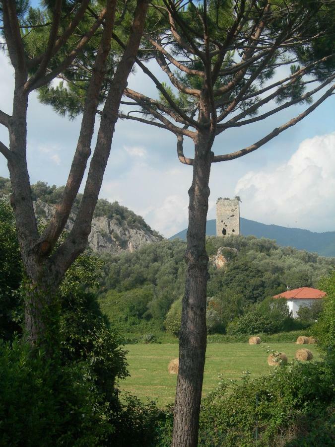B&B La Rondine Tra Pisa E Lucca San Giuliano Terme Exteriér fotografie