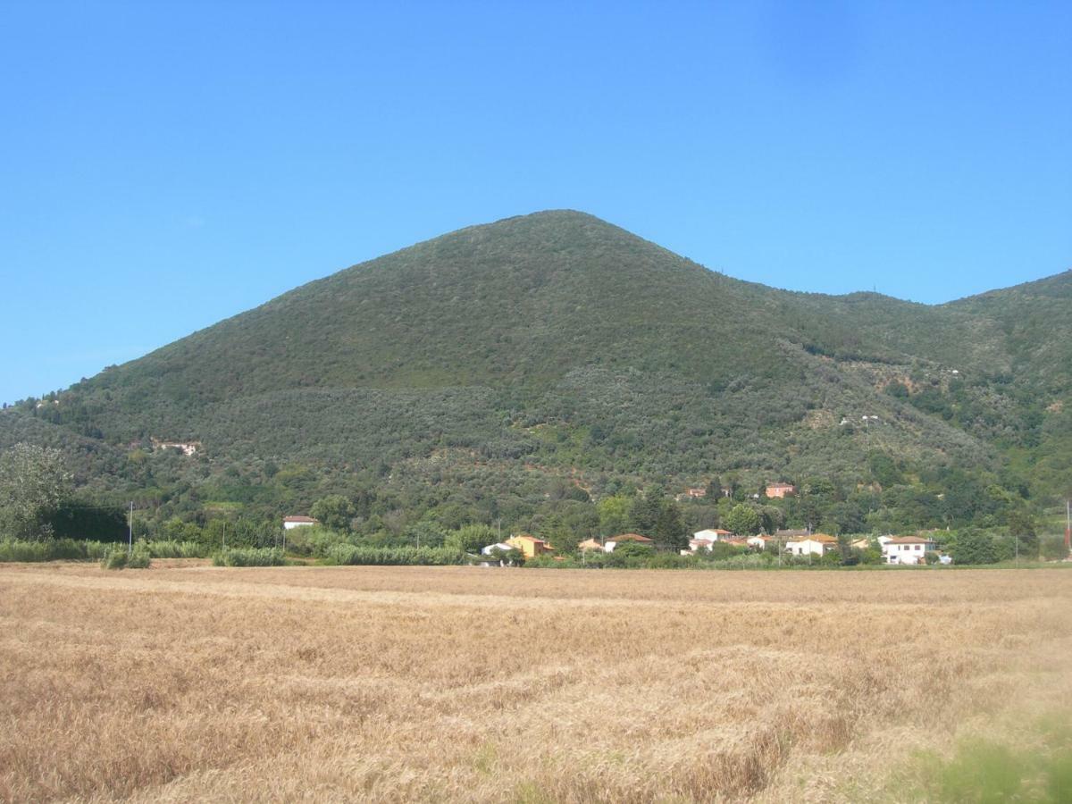 B&B La Rondine Tra Pisa E Lucca San Giuliano Terme Exteriér fotografie